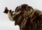 Grande Figurine Happy Baby Elephant en Grès par Knud Kyhn 3