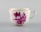 Hand Painted Herend Porcelain Coffee Cups with Saucers, 1950s, Set of 4, Image 3
