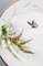 Assiettes Bing & Grondahl Antique Peintes à la Main avec Papillon et Insectes, Set de 2 3