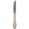 Sterling Silver Lily of the Valley Dinner Knife by Georg Jensen, 1940s, Image 1