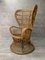 Wicker Armchair by Lio Carminati for Casa e Giardino, 1960s 1