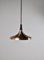 Mid-Century Ceiling Lamp from Erco, 1960s, Image 1