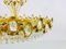German Golden Gilded Brass and Crystal Glass Chandelier from Palwa, 1960s 10