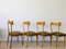 Mid-Century Dining Chair by Ico Luisa Parisi for Alberto Colombo 18