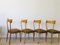 Mid-Century Dining Chairs by Ico Luisa Parisi for Alberto Colombo, Set of 4 18
