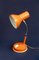 Industrielle italienische Vintage Clivia Tischlampe, 1960er 1