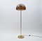 Brass and Acrylic Glass Floor Lamp, 1970s 1