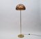 Brass and Acrylic Glass Floor Lamp, 1970s 2