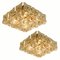 Brass & Crystal Glass Wall Lights by Kinkeldey, 1970s, Set of 2, Image 6