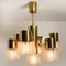 German Matt and Clear Glass Shades and Brass Chandelier by Hillebrand, 1960s 5