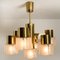 German Matt and Clear Glass Shades and Brass Chandelier by Hillebrand, 1960s, Image 5