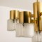 German Matt and Clear Glass Shades and Brass Chandelier by Hillebrand, 1960s, Image 3