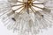 Austrian Glass & Brass Starburst Ceiling Lamp by Emil Stejnar for Rupert Nikoll, 1950s 6