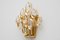 German Crystal and Brass Wall Sconce from Palwa, 1960s, Set of 2, Image 2