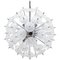 Belgian Floral Starburst Sputnik Chandelier from Val Saint Lambert, 1969 1