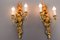 Rococo Style Carved and Polychrome Painted Wooden Sconces, 1930s, Set of 2 4