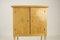 Vintage Cabinet from Ulfshytte Jernverks AB, 1920s, Image 5