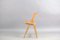 Beech Model SE18 Folding Chair by Egon Eiermann for Wilde+Spieth, 1960s 6