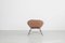 Armchair by Augusto Bozzi for Saporiti, 1950s, Image 6