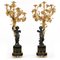 Large 19th Century Patinated and Gilt Bronze Candleholders, Set of 2 1