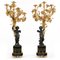 Large 19th Century Patinated and Gilt Bronze Candleholders, Set of 2, Image 1