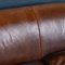 Vintage Dutch 2-Seater Leather Sofa, 1970s, Immagine 12