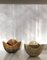 Ash Ceramic Bowls by Gunnar Nylund for Rörstrand, 1950s, Set of 2 1