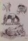 Acuarela de caballos Study of Horses de Peter Hobbs, años 30, Imagen 1