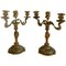 French Louis XV Candelabra Ormolu Gilt Bronze Candleholders, 1850s, Set of 2 1