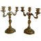 French Louis XV Candelabra Ormolu Gilt Bronze Candleholders, 1850s, Set of 2, Image 1