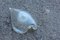 Iridescent Murano Glass Shell Bowl from Seguso, 1950s, Image 3