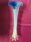 Vaso doppio in vetro di Murano bianco-blu, anni '80, Immagine 3