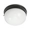 Vintage Industrial White Opaline Glass and Bakelite Ceiling Lamp, Image 3
