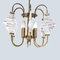 Messing und Glas Deckenlampe im Stil von Angelo Brotto, 1950er 10