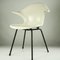 Fauteuil Shell en Fibre de Verre, 1970s 1