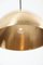German Posa Pendant Lamp with Brass Side Pull by Florian Schulz, 1970s 4