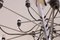 Lámpara de araña 2097/30 de Gino Sarfatti para Arteluce, años 60, Imagen 7