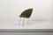 Model 350 Lounge Chairs by Arno Votteler for Walter Knoll, 1950s, Set of 2, Image 17