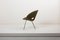 Model 350 Lounge Chairs by Arno Votteler for Walter Knoll, 1950s, Set of 2, Image 15