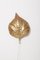 Große Rhabarberblatt Wandlampe oder Wandleuchte aus Messing von Tommaso Barbi, 1970er 12