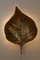Large Rhubarb Leaf Brass Wall Light or Sconce by Tommaso Barbi, 1970s, Image 10