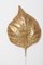 Große Rhabarberblatt Wandlampe oder Wandleuchte aus Messing von Tommaso Barbi, 1970er 9