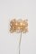Gilded Brass Model S103W Wall Light from Palwa, 1970s, Image 8