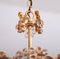 Lámpara de araña de latón dorado y cristal incrustado de Palwa, años 60, Imagen 7