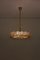 Brass and Crystal Glass Encrusted Model S101 Chandelier from Palwa, 1970s 2