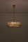 Brass and Crystal Glass Encrusted Model S101 Chandelier from Palwa, 1970s, Immagine 2