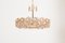 Brass and Crystal Glass Encrusted Model S101 Chandelier from Palwa, 1970s, Imagen 4
