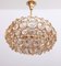 Gilded Brass and Crystal Glass Chandelier from Palwa, 1960s 3