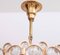 Lámpara de araña de latón dorado y cristal de Palwa, años 60, Imagen 6