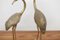 Grandes Flamants ou Grues en Laiton, 1970s, Set de 2 4